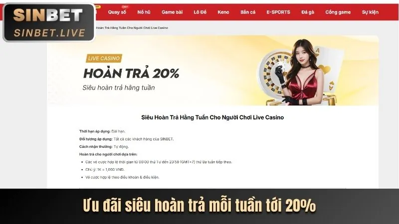 Đặc quyền VIP 789 Bet